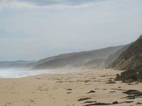 Beach on the Great Ocean Road