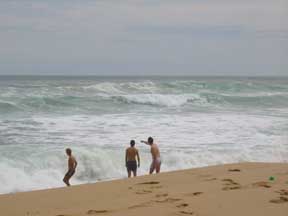 The Surf