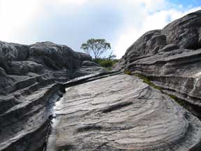 Looks Like Melted Ice Cream: Rocks