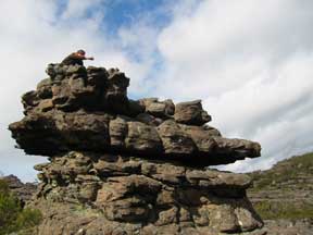 Rock Skid