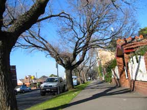 Waltham Street, Flemington, Melbourne