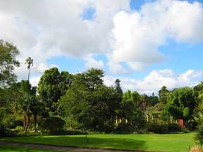 Sydney: Botanical Gardens