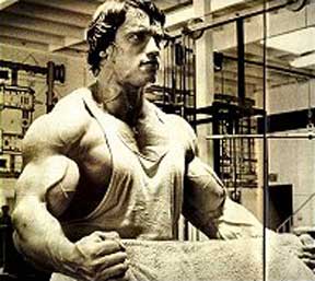 Towel Day: Arnold Schwarzenegger