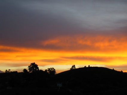 Nelson at dusk