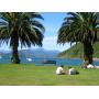 nz_nelson_2005_01.jpg