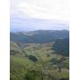 nz_nelson_2005_08.jpg
