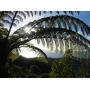 nz_nelson_2005_20.jpg